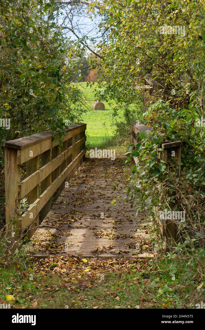 Puente peatonal rústico en Carolina del Norte rural. Foto de stock