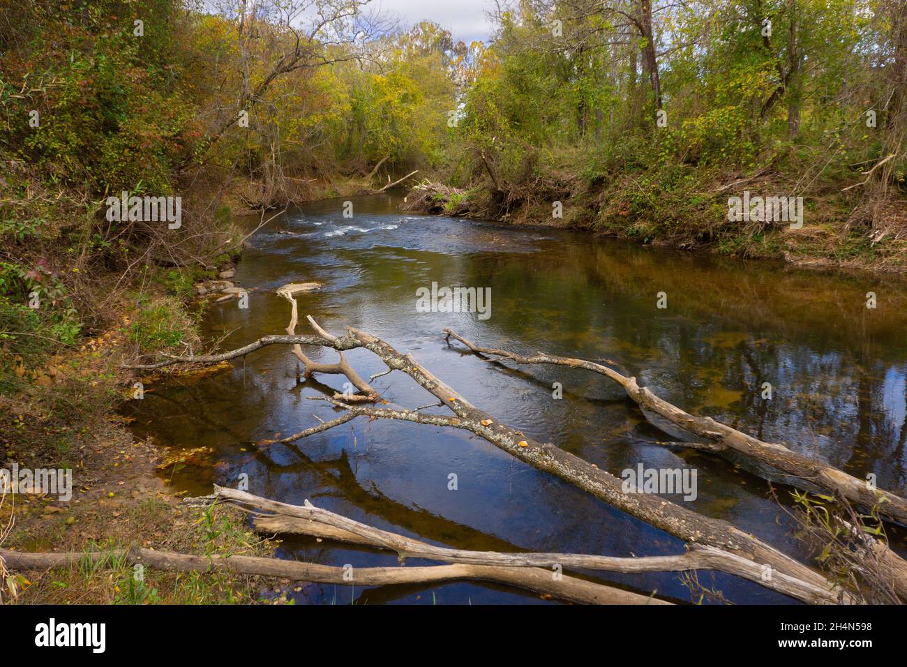 Troncos caídos en un arroyo en Carolina del Norte. Foto de stock