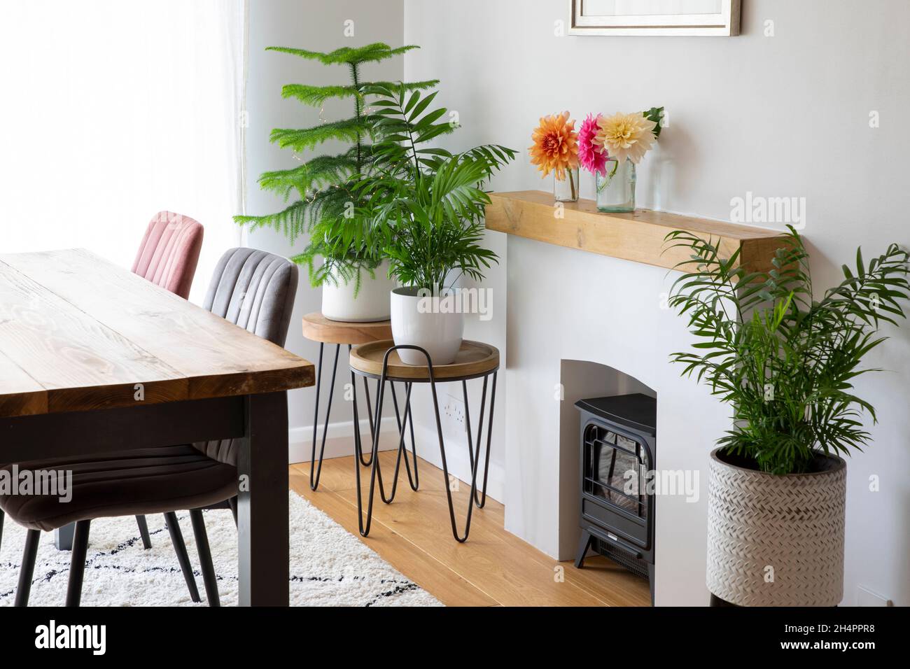 Rincón de la sala de estar con mesa de comedor y plantas de la casa  Fotografía de stock - Alamy