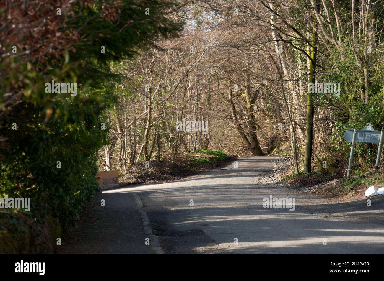 Country road, Lochwinnoch, Renfrewshire, Escocia, Reino Unido Foto de stock
