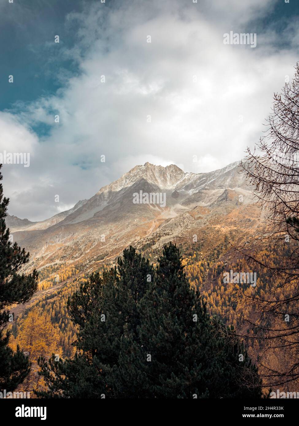 Vistas increíbles sobre un alto valle alpino y montañas cubiertas de nieve. Los árboles de otoño y otoño de color naranja y amarillo bordean los lados del valle Foto de stock