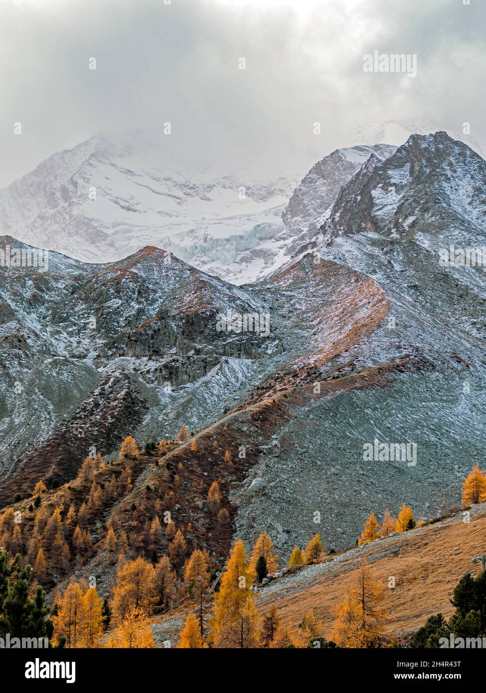 Vistas increíbles sobre un alto valle alpino y montañas cubiertas de nieve. Los árboles de otoño y otoño de color naranja y amarillo bordean los lados del valle Foto de stock