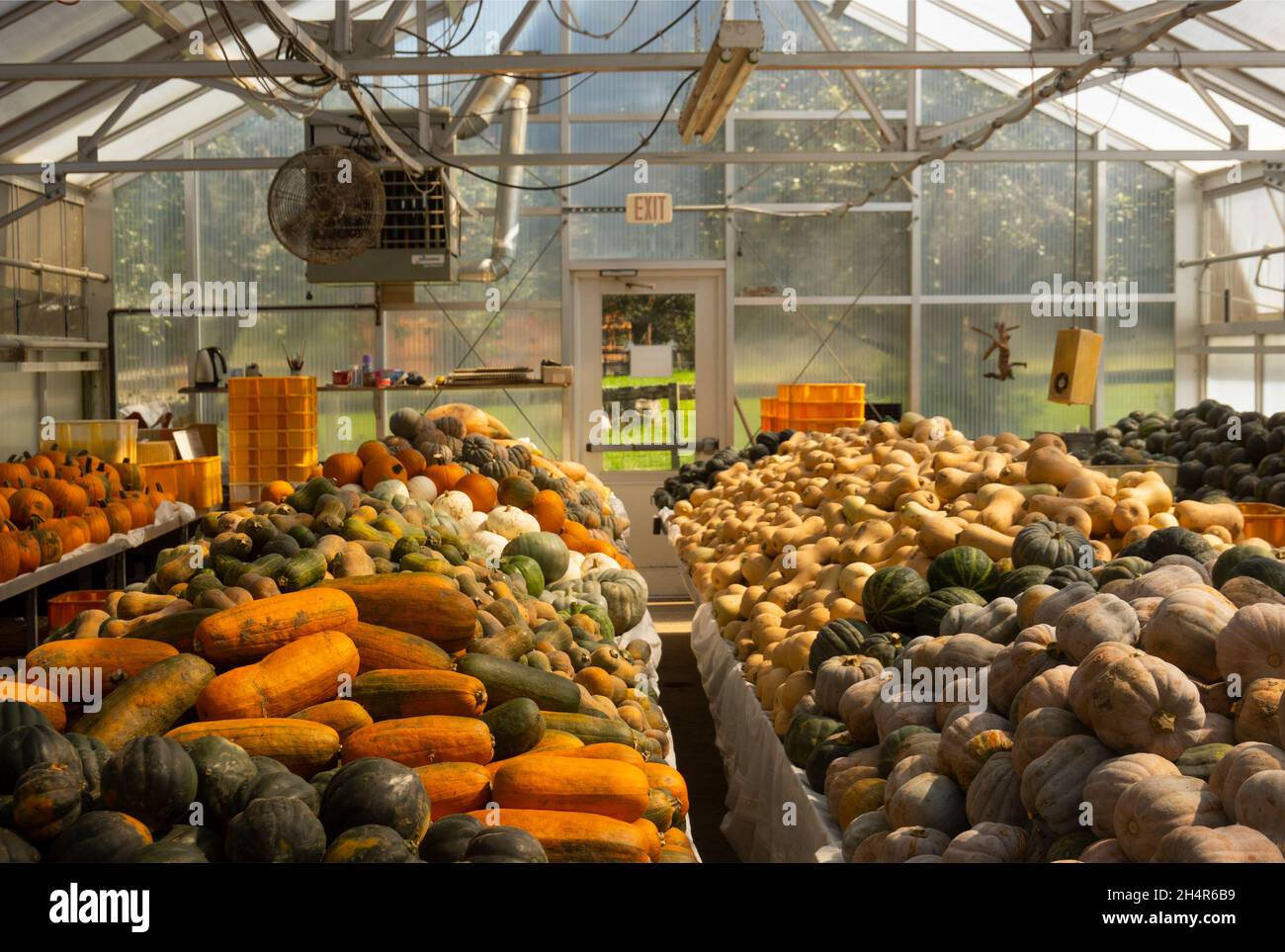 Granja de Drumlin santuario de vida silvestre Mass Audubon Lincoln