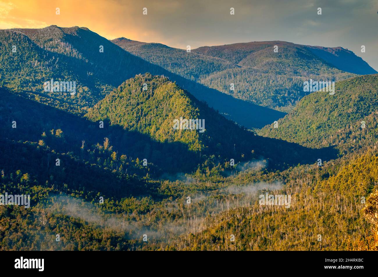 Desierto de Tasmania, junto a Gordon River Road, Tasmania, Australia Foto de stock