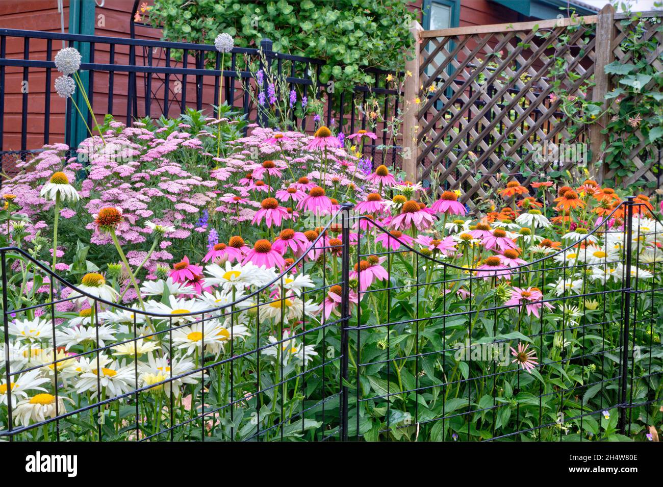 Un jardín perenne en su punto de floración en medio del verano. Foto de stock