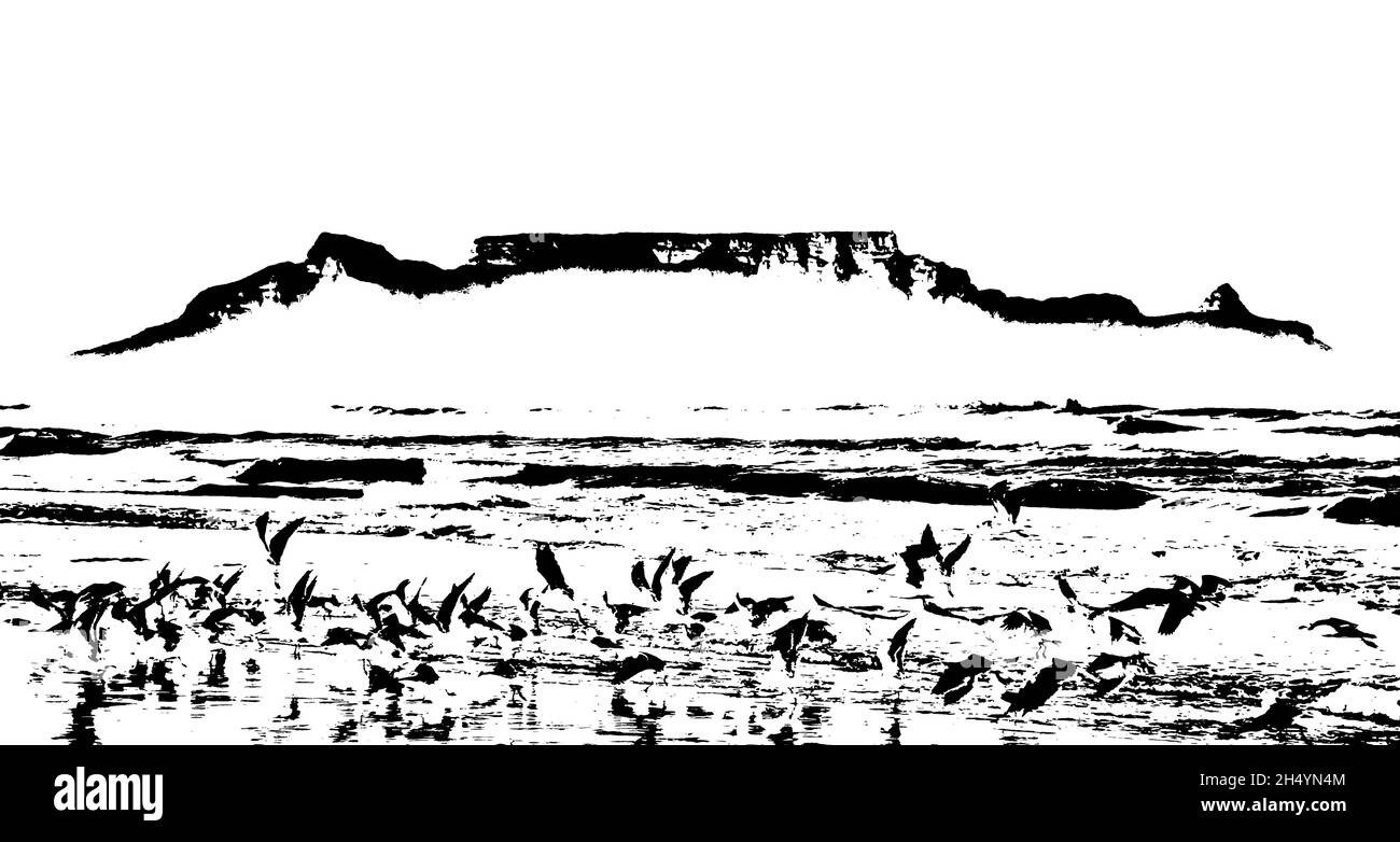 Silueta de Table Mountain y gaviotas en la playa Foto de stock