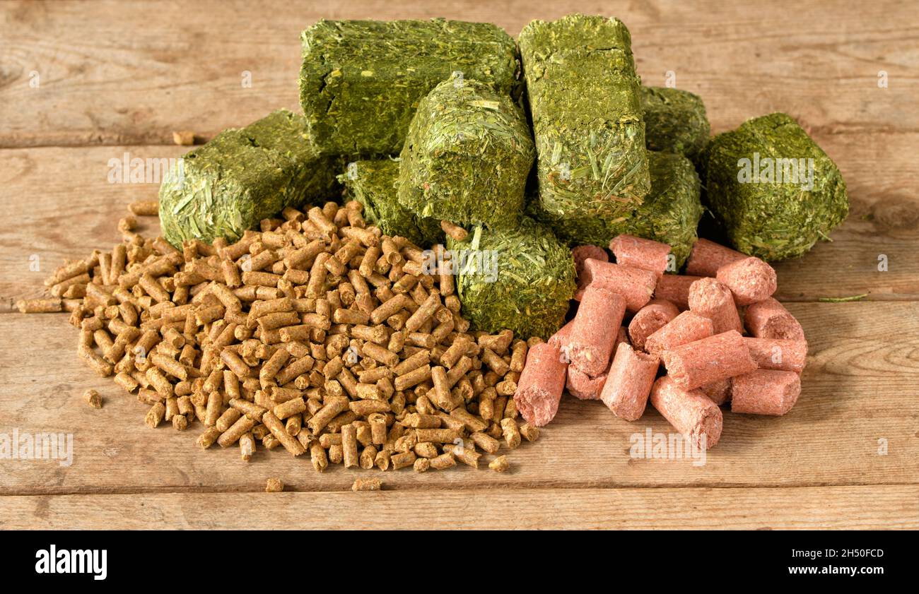 Alimentación de caballo peleteado a la izquierda, cubos verdes de alfalfa-timothy en el medio, y golosinas de menta rosa a la derecha; sobre mesa rústica de madera Foto de stock