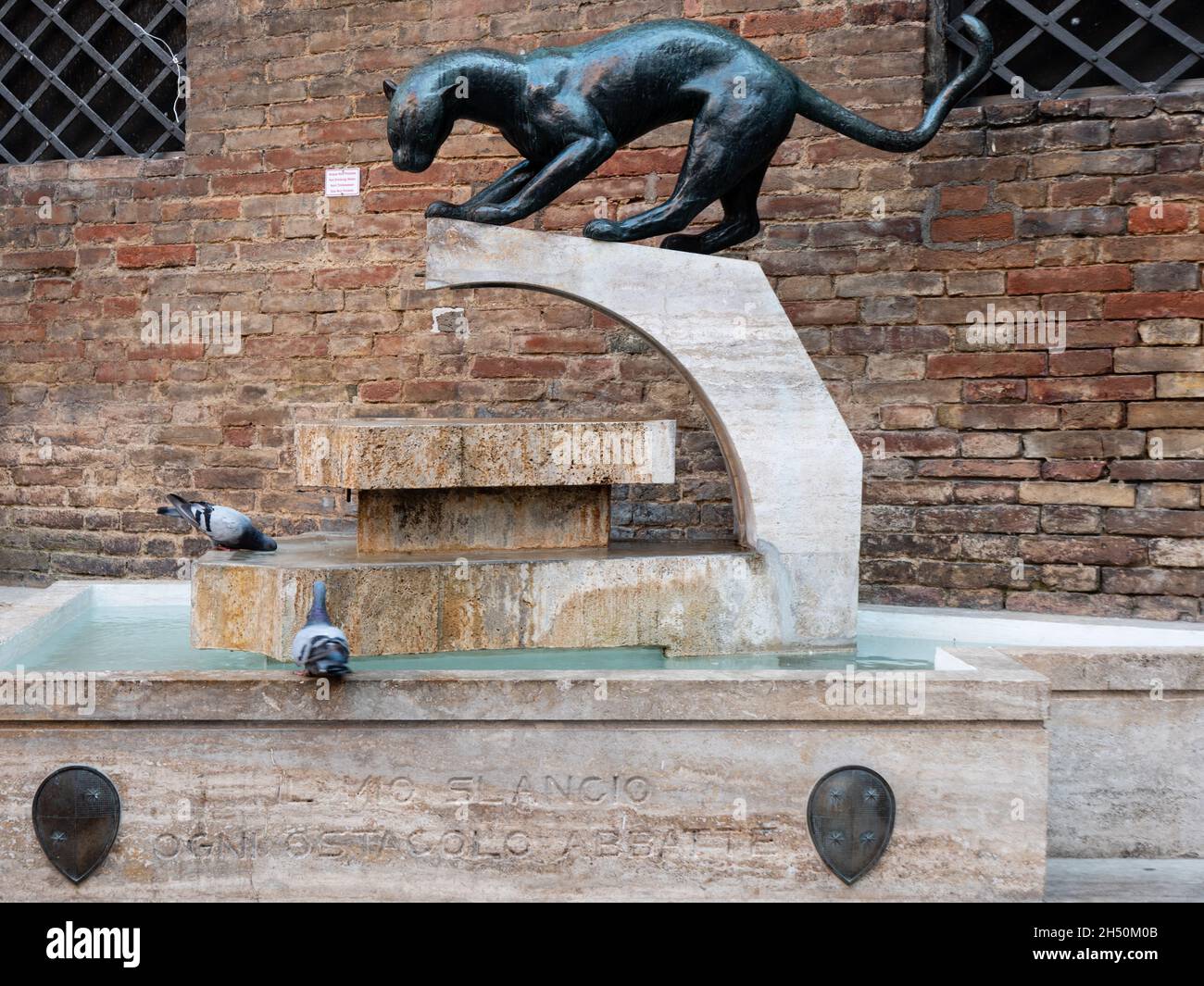 Fuente Pantera o Fuente y Fontanina de la Contrada della Pantera en Siena, Toscana Italia Foto de stock