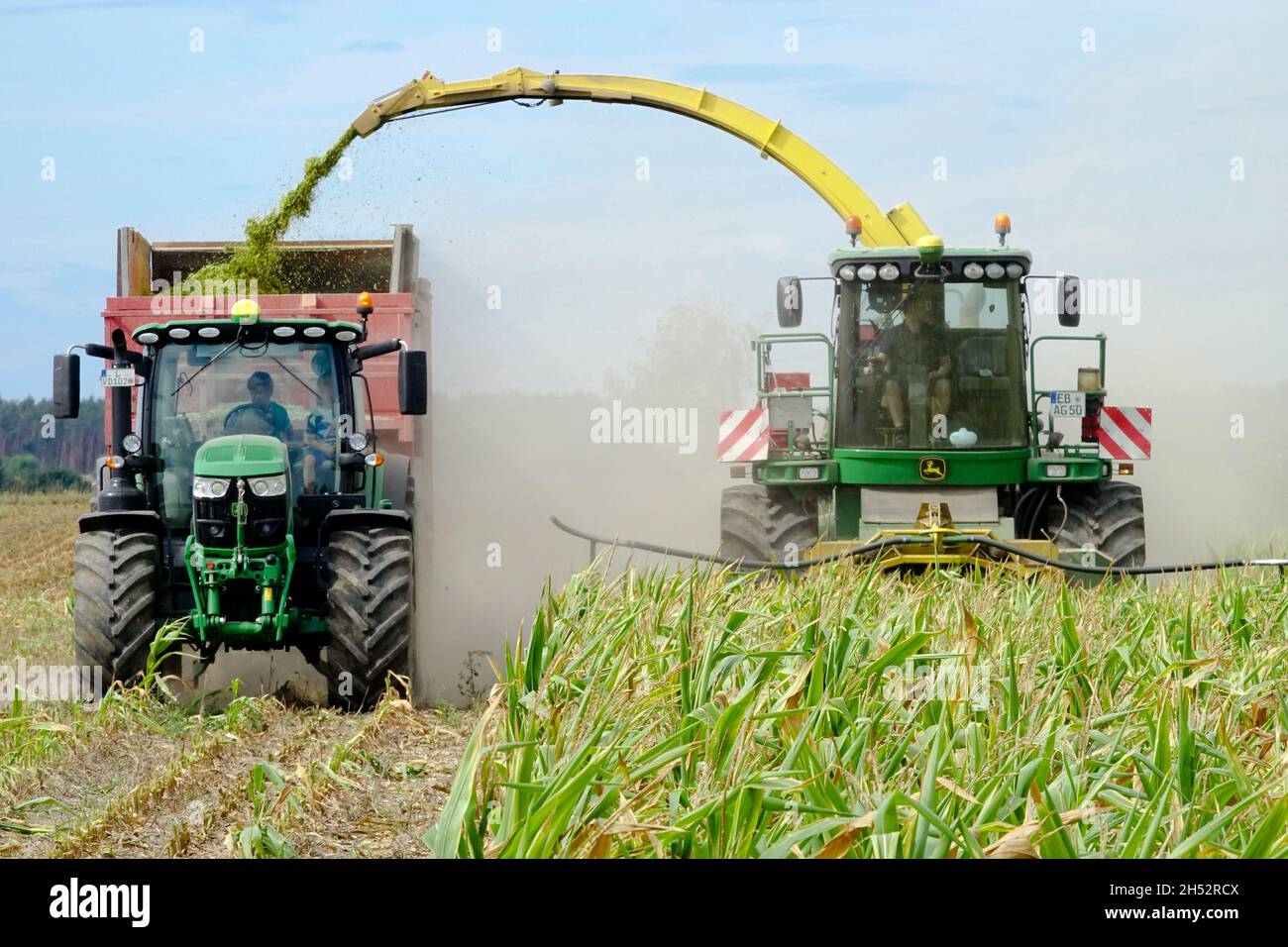 Tractores para cosecha de maíz Cosecha de maíz en campo Foto de stock