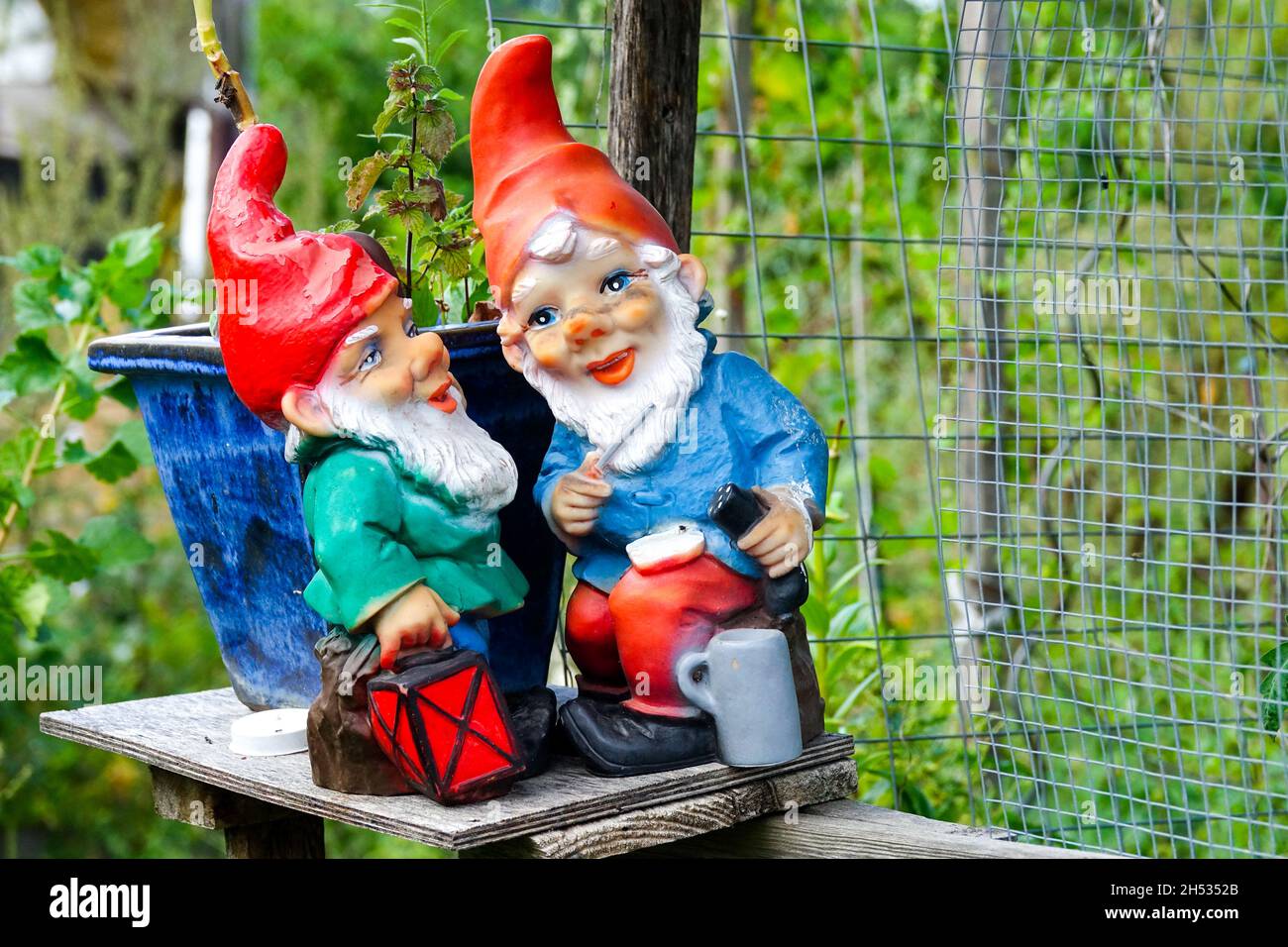 Gnomos en el jardin fotografías e imágenes de alta resolución - Alamy