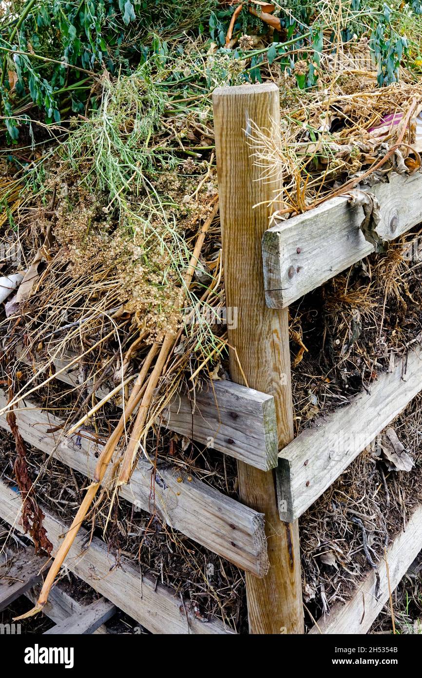 antiguo compostaje de hierba seca malezas jardín de desechos de madera composter Foto de stock