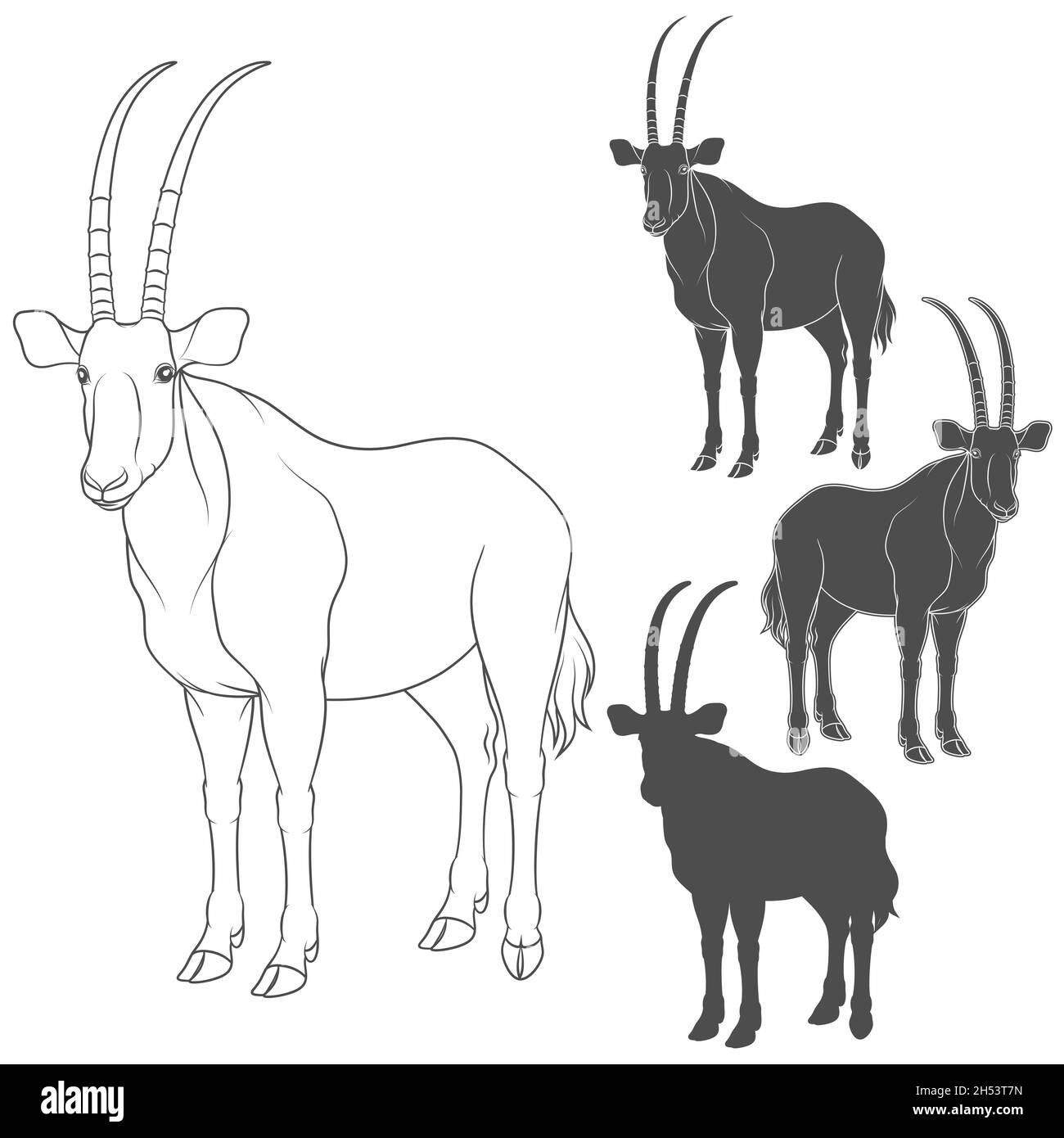 Conjunto de ilustraciones en blanco y negro con antílope oryx. Objetos vectoriales aislados sobre fondo blanco. Ilustración del Vector