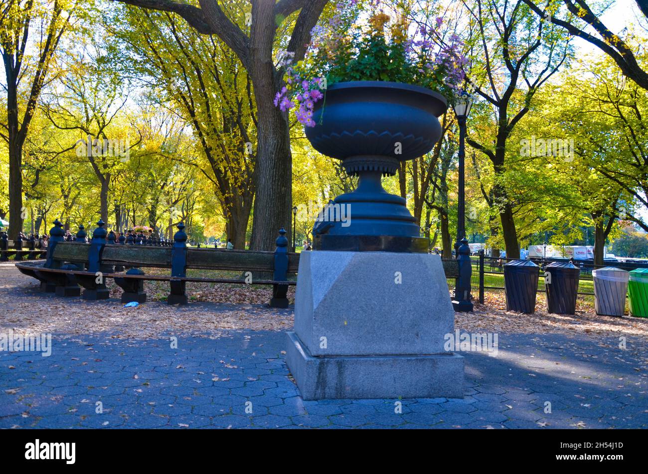 Las hojas coloridas se ven durante el follaje del otoño en Central Park en la ciudad de Nueva York. Foto de stock