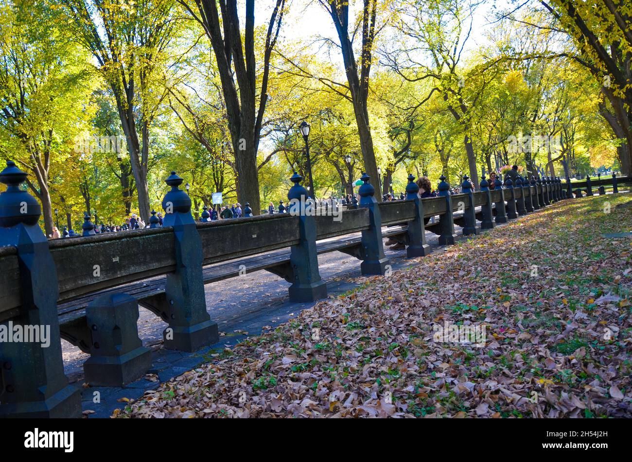 Las hojas coloridas se ven durante el follaje del otoño en Central Park en la ciudad de Nueva York. Foto de stock