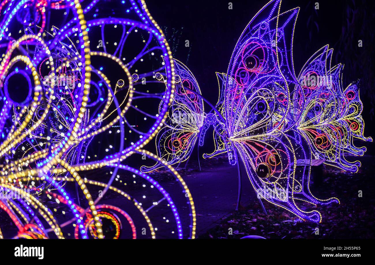 Mariposas iluminadas fotografías e imágenes de alta resolución - Alamy