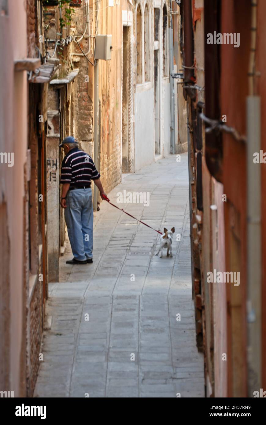 Un hombre irreconocible camina con su perro por la ciudad de Venecia, Italia. Foto de stock