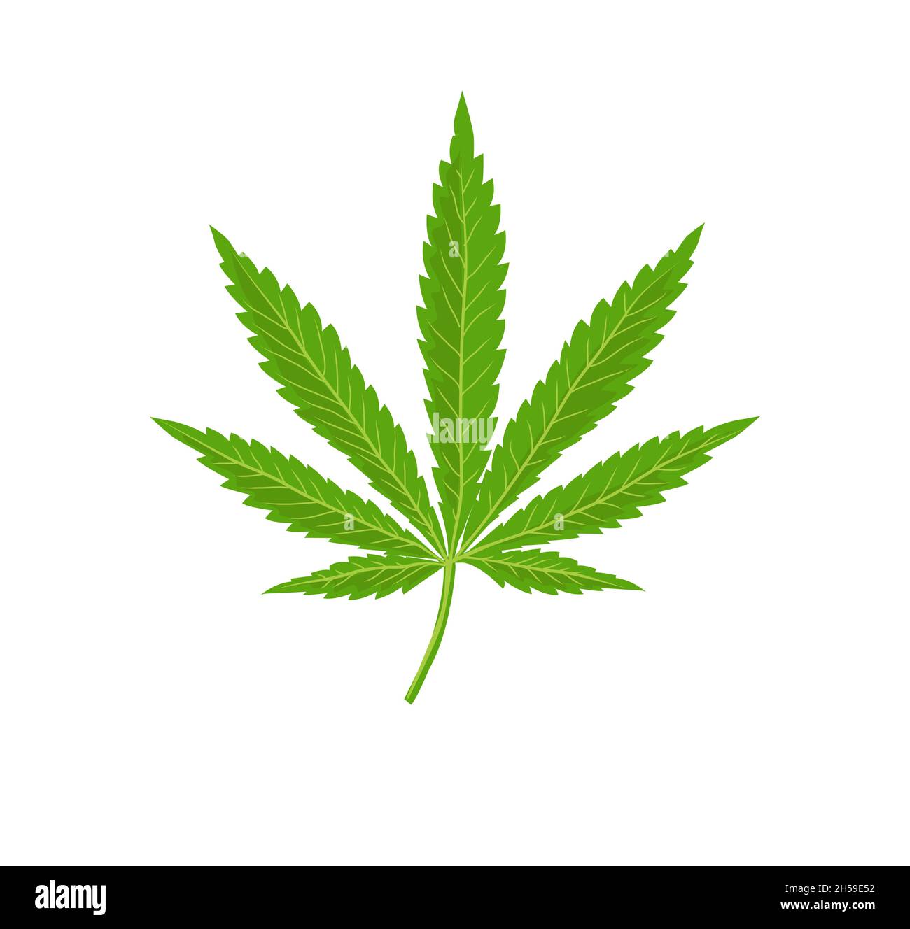 Icono de hoja de cannabis. Silueta verde indica sativa fondo blanco aislado. Planta herbaria de la hierba de la medicina. Cáñamo natural de la maleza. Adicción FUMAR DROGAS Ille Ilustración del Vector