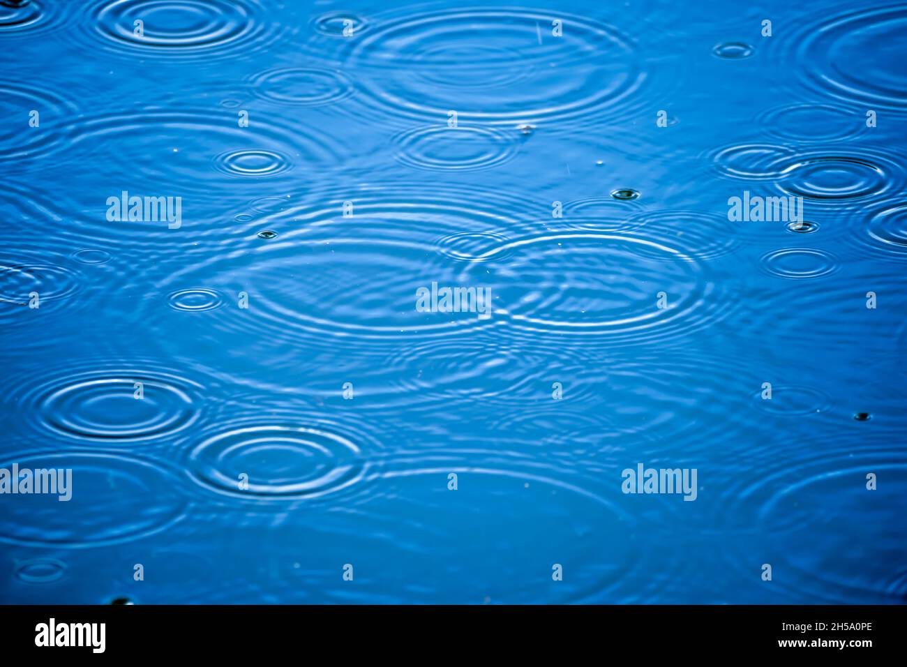 Regentropfen bilden kleine Wellenkreise auf einem See Foto de stock