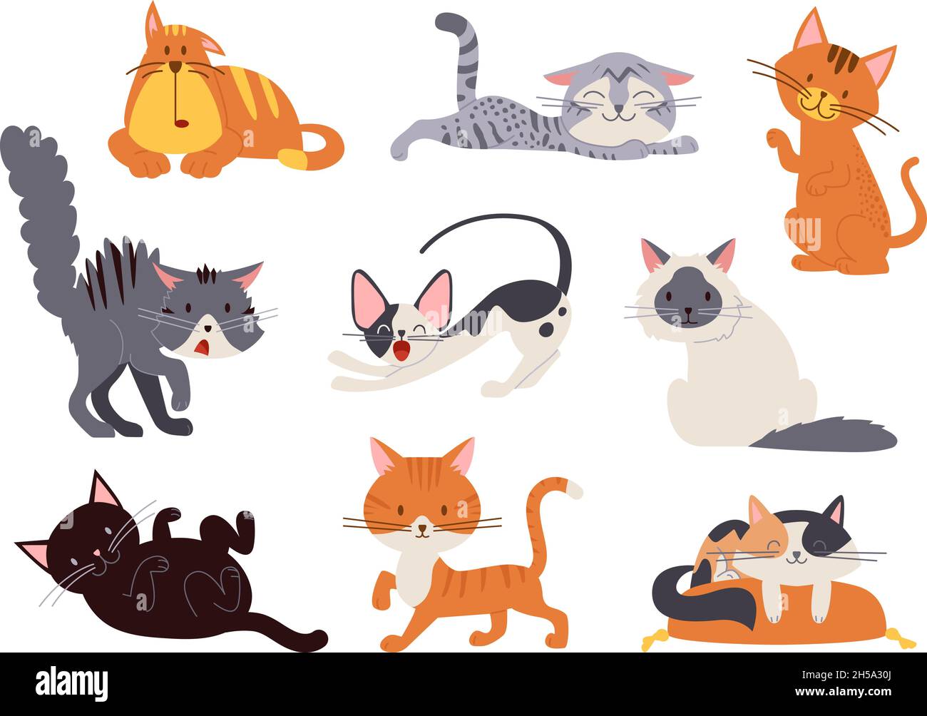 Gatos de dibujos animados. Dormir gato en la almohada, aislado gatito  asustar. Las mascotas lindas juegan y se sientan, los animales suaves y  amigables. Pegatinas infantiles elegante conjunto vectorial Imagen Vector de