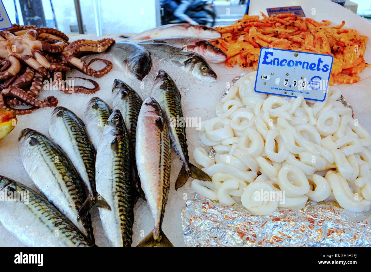 mariscos en el mercado francés - calamar, pulpo y caballa Foto de stock