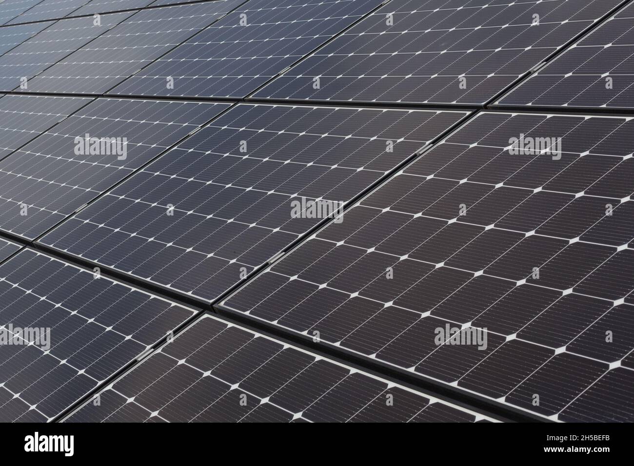Paneles solares abstractos textura fondo. Primer plano del módulo  fotovoltaico del panel de energía solar Fotografía de stock - Alamy