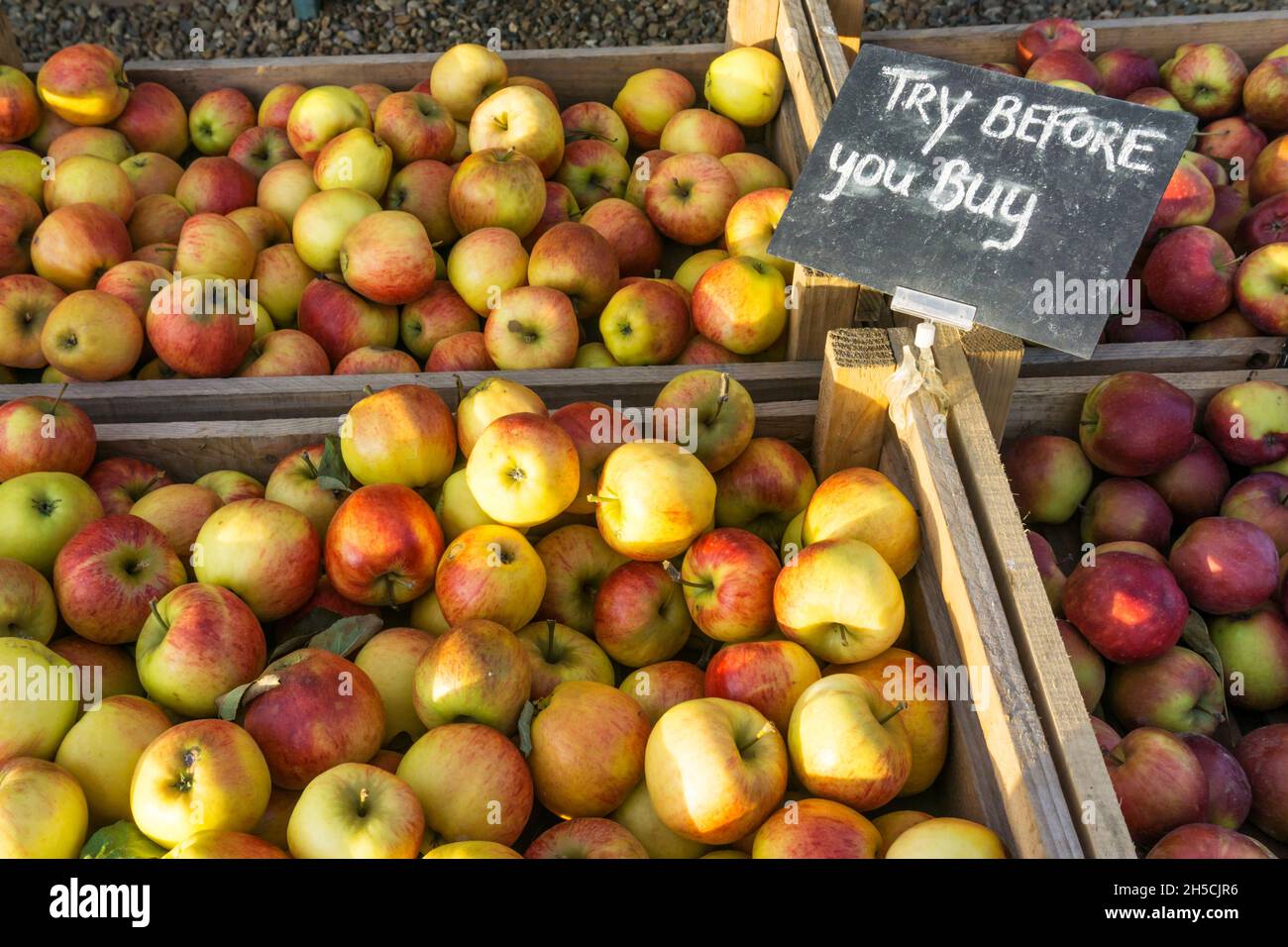 Pruebe antes de comprar el cartel en cajas de manzanas para la venta en una tienda de granjas de Norfolk. Foto de stock