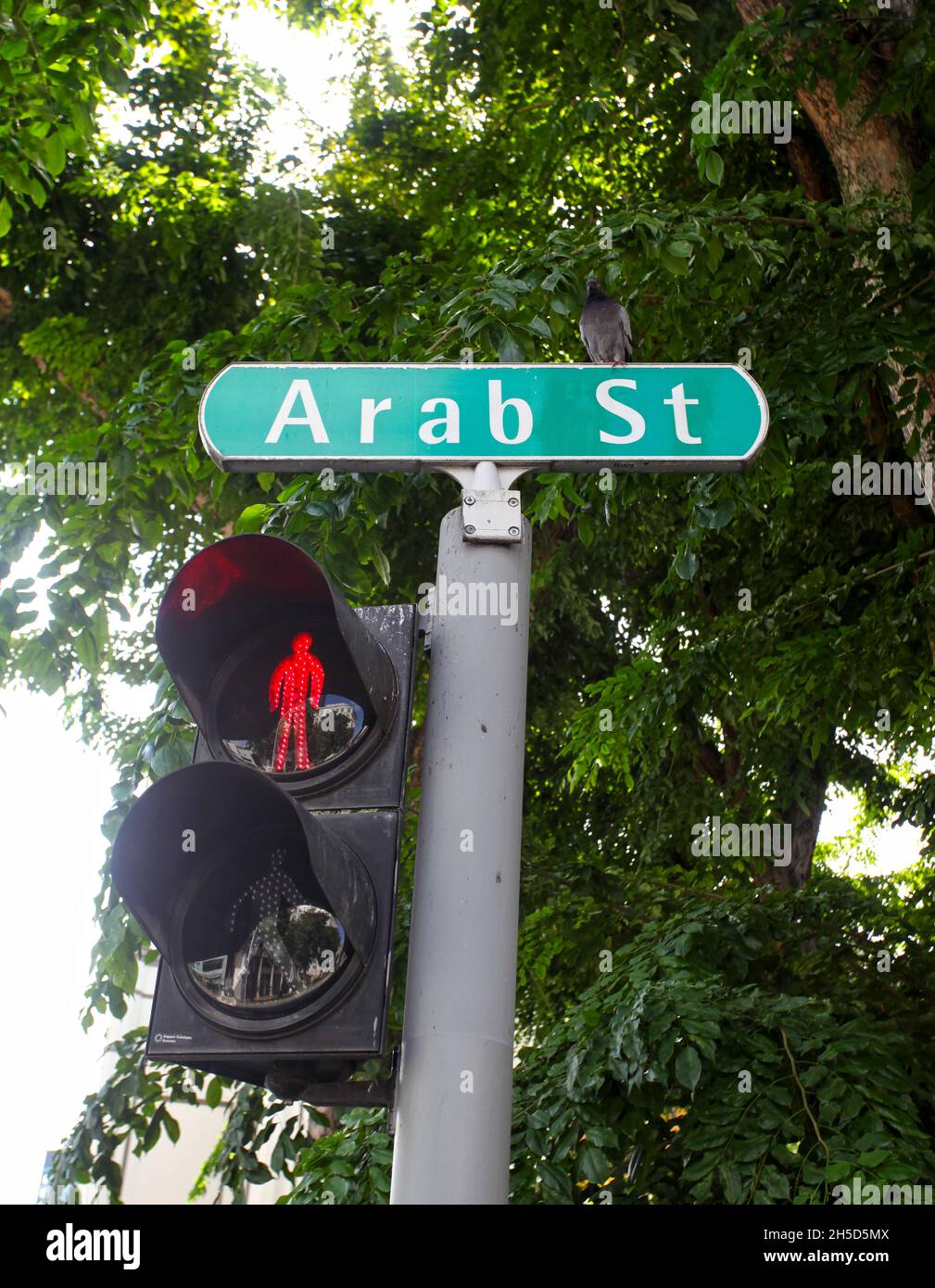 Un cartel con el nombre de la calle Arab Street, con un cruce peatonal y un fondo de árboles en el distrito de Kampong Glam de Singapur. Foto de stock