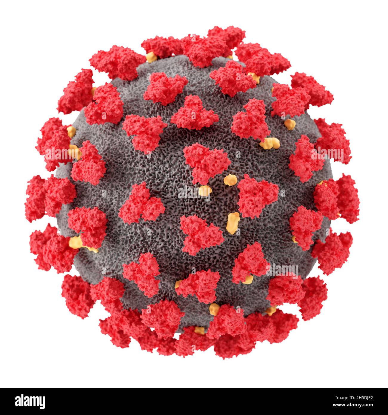 Visualización del virus SARS-CoV-2 (COVID19). Ilustración del patógeno del coronavirus bajo un microscopio. Aislado sobre fondo blanco. 3d rende Foto de stock