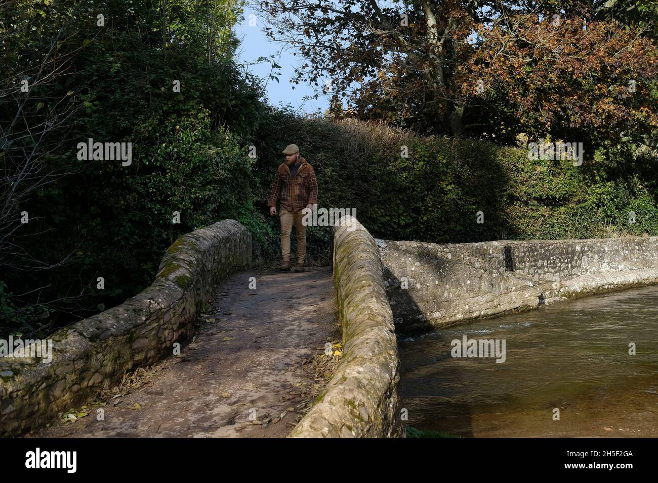 Un hombre caminando sobre el puente medieval Gallox en Dunster. Foto de stock
