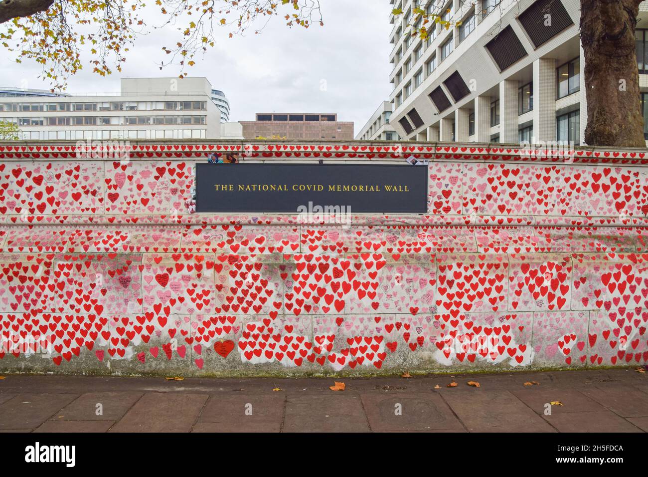 Londres, Reino Unido. 9th de noviembre de 2021. El National Covid Memorial Wall en las afueras del Hospital St Thomas. Más de 150.000 corazones rojos han sido pintados por voluntarios y miembros del público, uno por cada vida perdida a Covid en el Reino Unido hasta la fecha. Crédito: Vuk Valcic / Alamy Live News Foto de stock