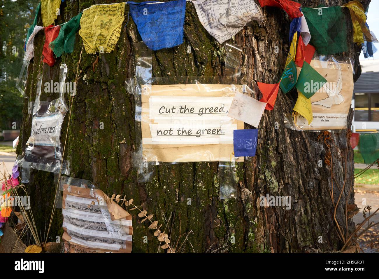 Señal protestando por el corte de un viejo árbol en Vancouver, British Columbia, Canadá Foto de stock