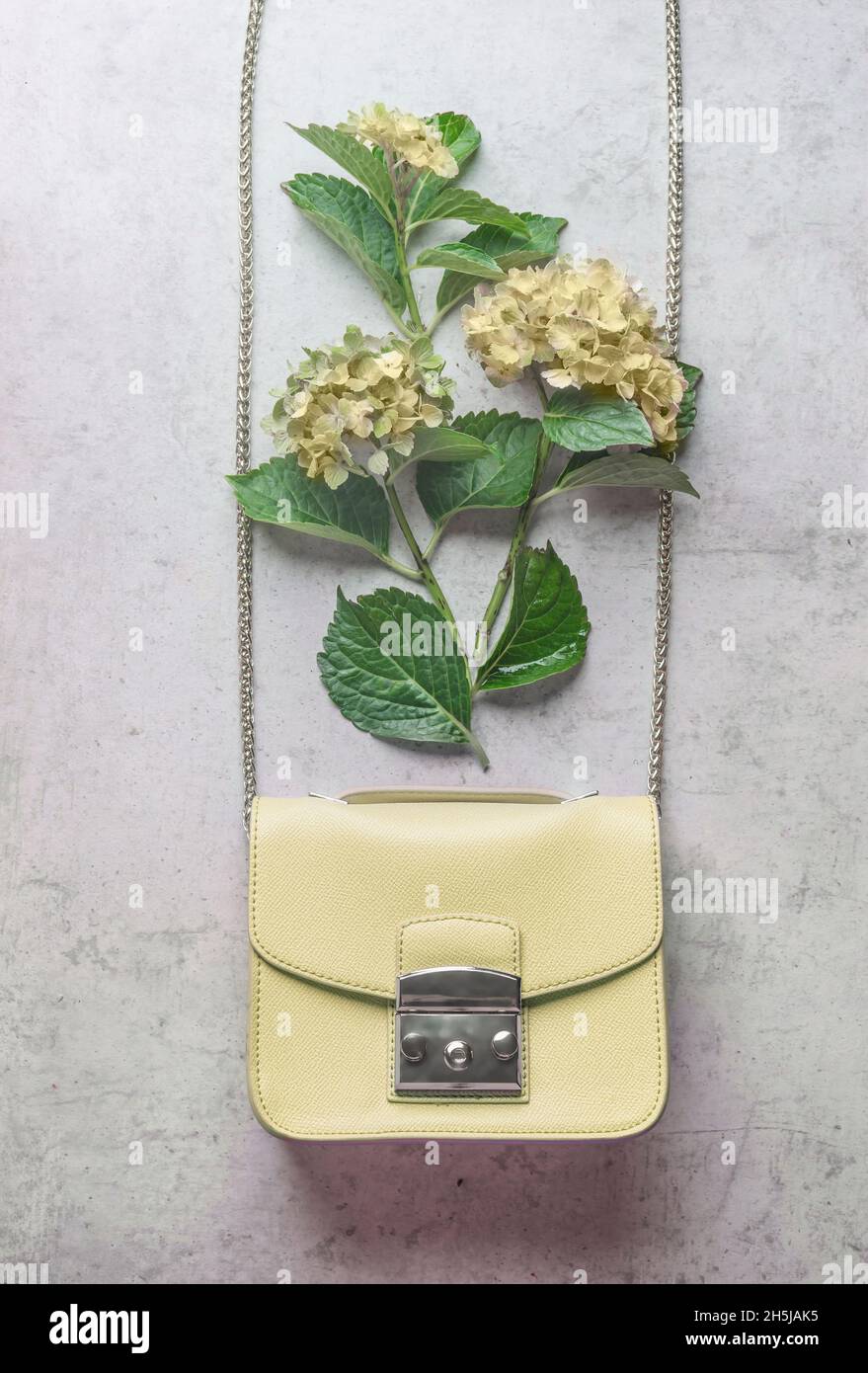 Bolsa de mano para mujer de color amarillo pálido con flores de hortensias sobre fondo gris. Concepto de moda femenina con flores. Vista superior. Foto de stock