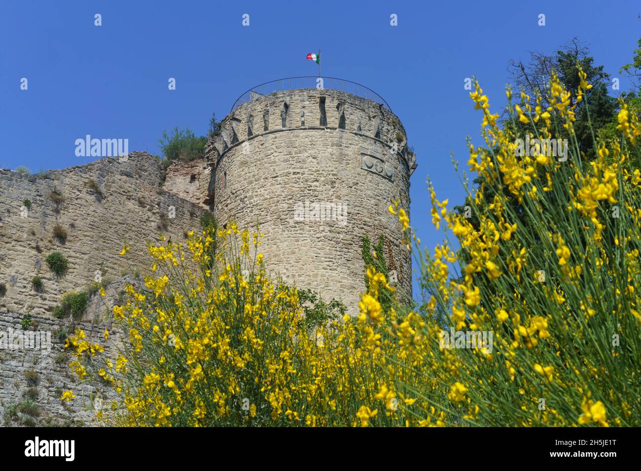 Castrocaro Terme, provincia de Forli, Emilia-Romagna, Italia: Castillo medieval Foto de stock