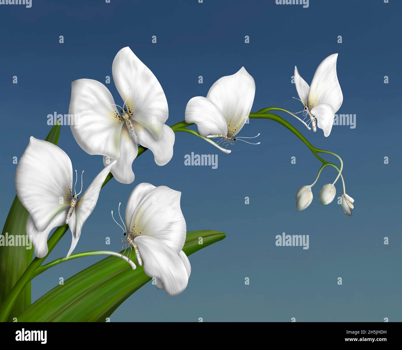 Orquídea surrealista compuesta de delicadas mariposas blancas Foto de stock