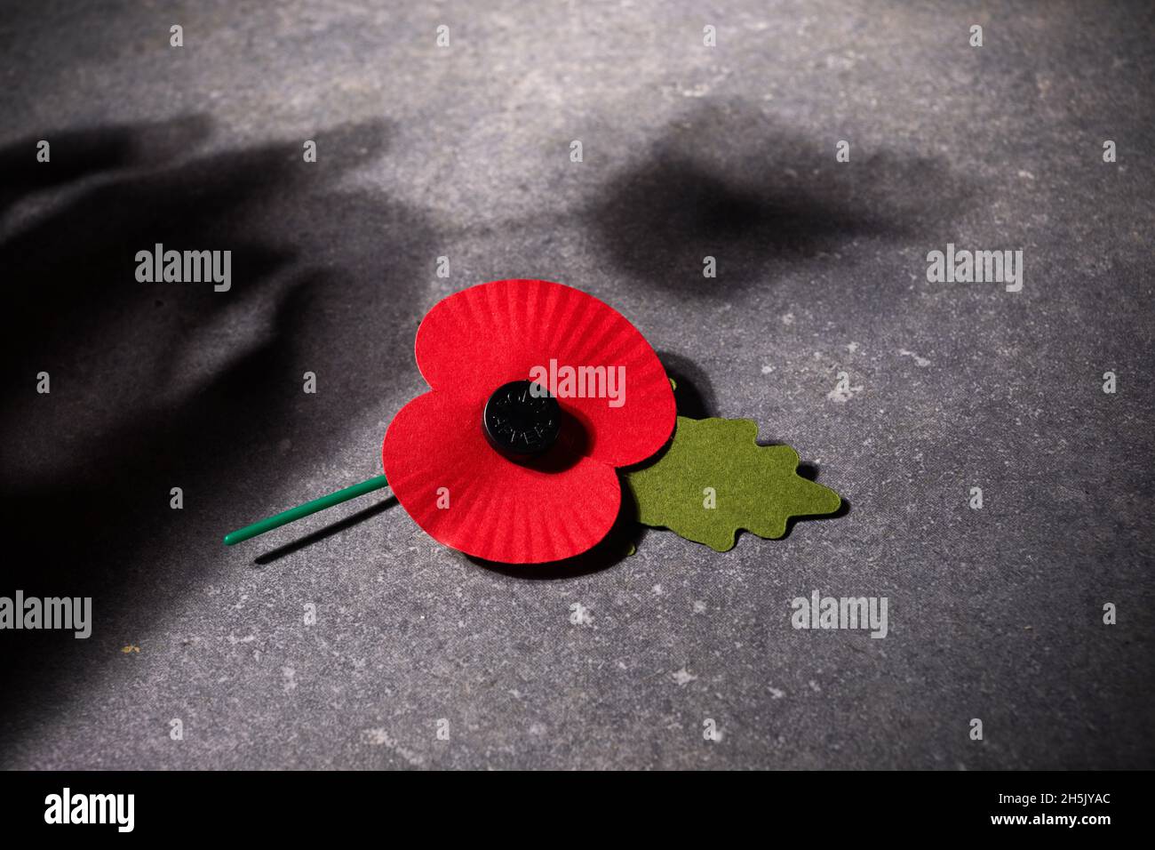 Día del recuerdo de la Guerra Mundial. La amapola roja es un símbolo de  recuerdo para los caídos en la guerra. Amapolas rojas sobre fondo de piedra  oscura Fotografía de stock - Alamy