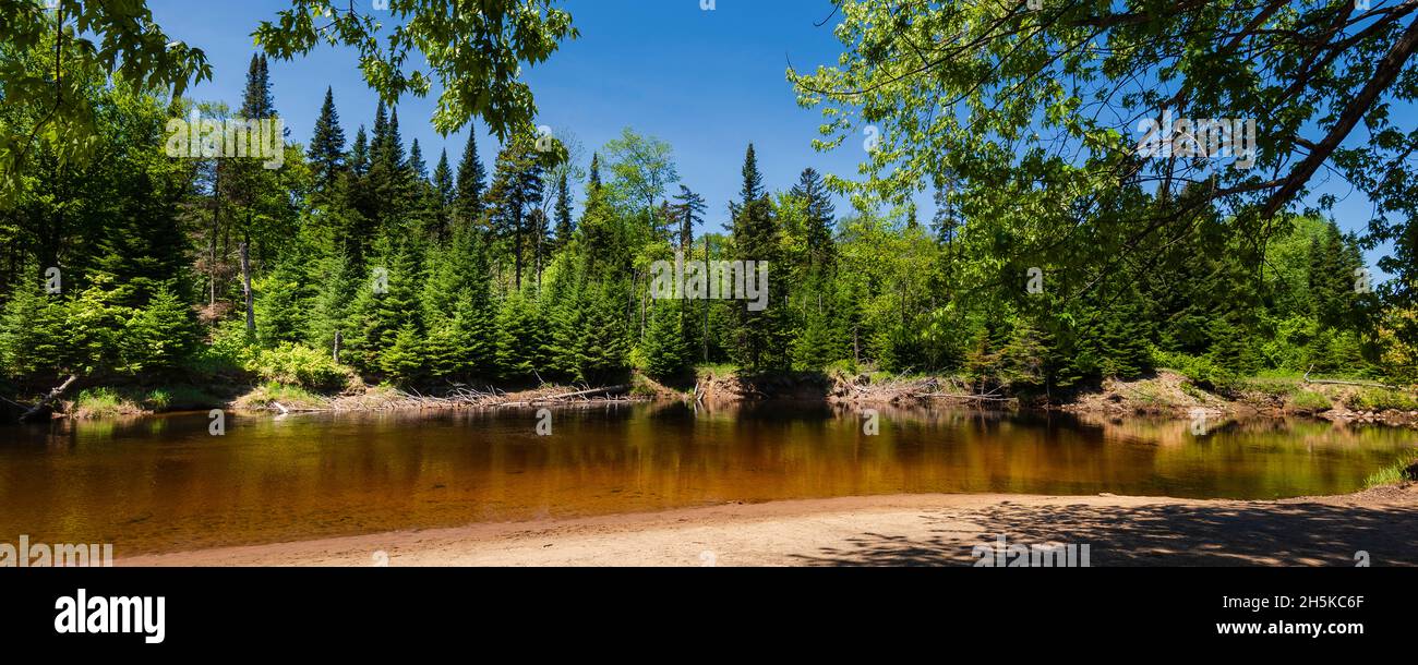 Tranquila escena de agua y exuberante bosque en el Parque Nacional Mont-Tremblant de la Región Laurentides; Quebec, Canadá Foto de stock