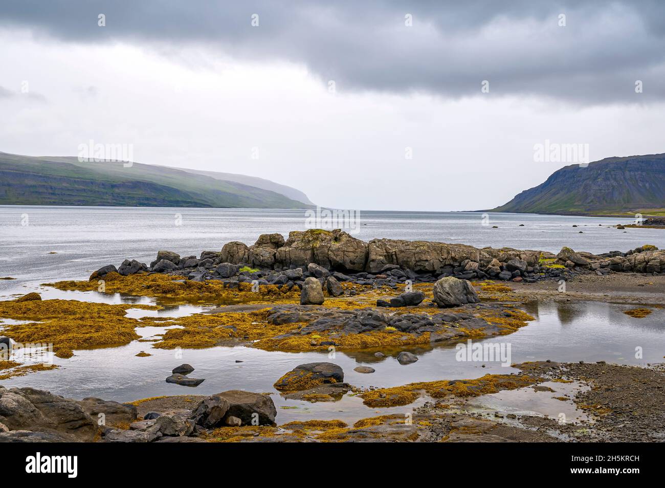 Paisaje de fiordos en verano, Vestfjardarvegur; Westfjords, Islandia Foto de stock