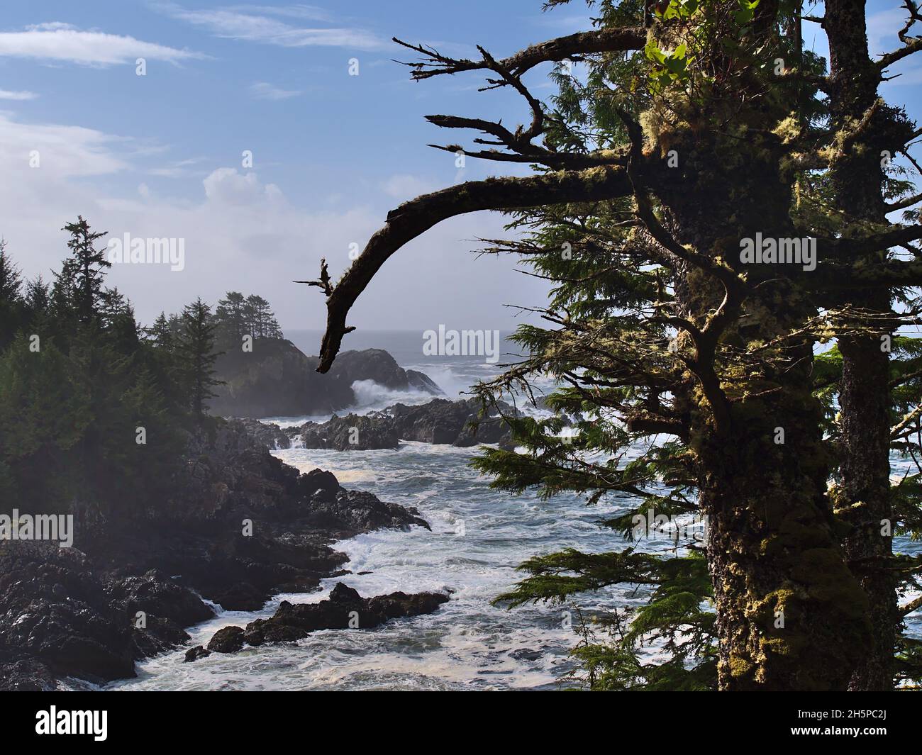 Costa salvaje del Océano Pacífico con fuerte oleaje y olas rompiendo en rocas cerca de Ucluelete, Isla de Vancouver, BC, Canadá con árboles cubiertos de musgo. Foto de stock