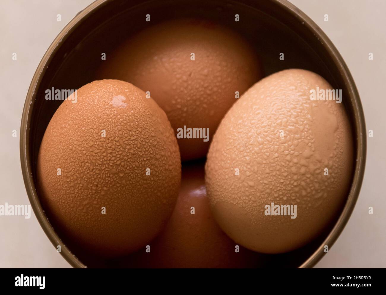 Cuatro huevos de gallinas marrones en un tazón redondo con conchas cubiertas de condensación. Se lleva del frigorífico a la temperatura ambiente cálida y húmeda en un ambiente cálido y húmedo. Foto de stock