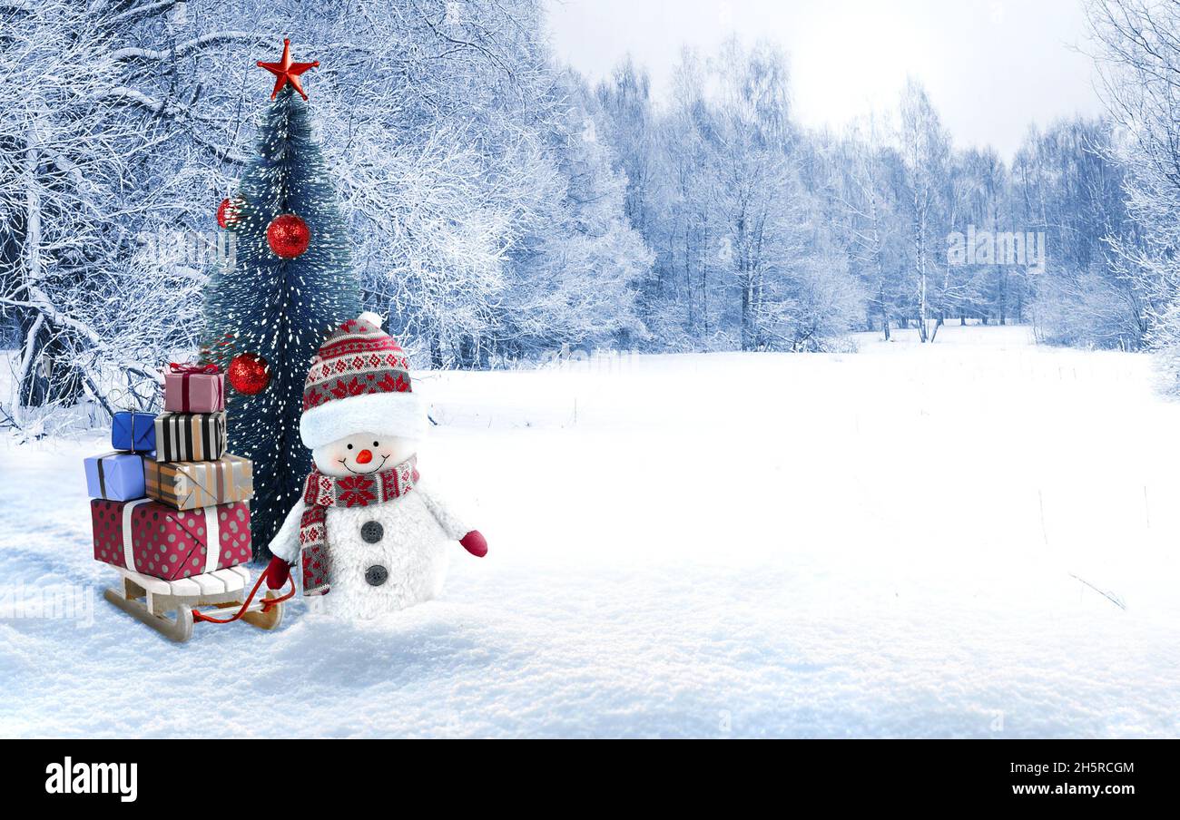 Fotografía De Paisaje Navideño