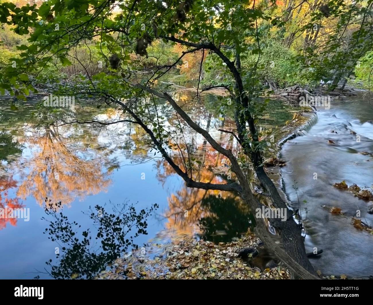 Follaje otoñal en el zoológico del Bronx Foto de stock