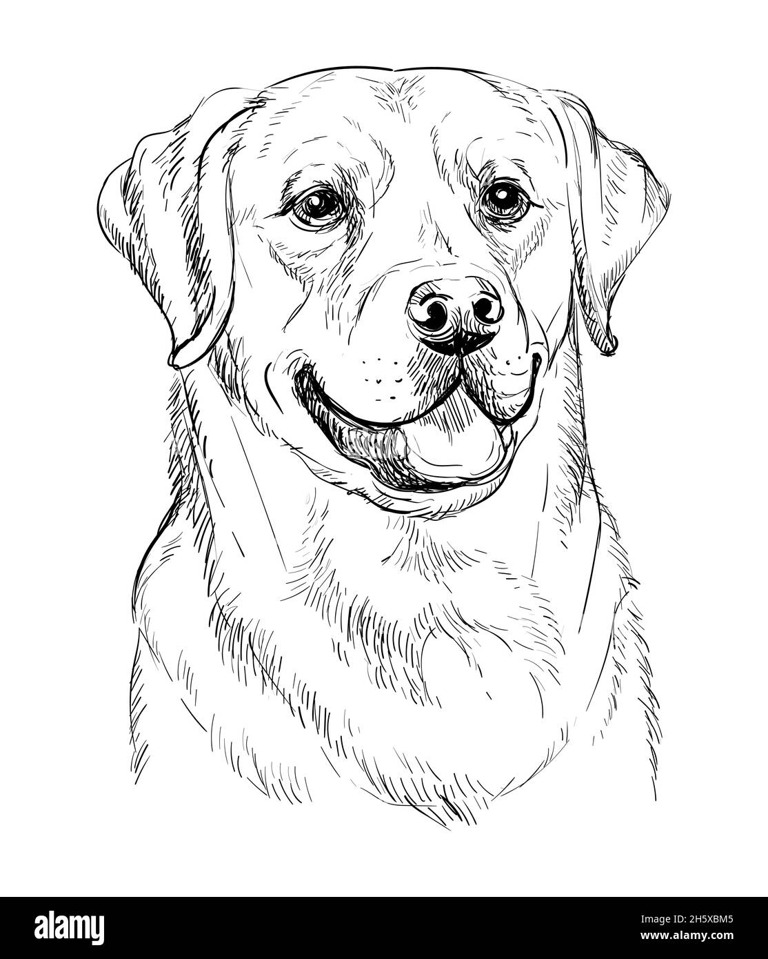 Lapiz el perro Imágenes de stock en blanco y negro - Alamy