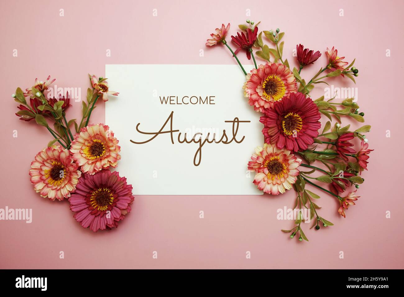 Bienvenido Texto tipográfico de agosto con flores sobre fondo rosa  Fotografía de stock - Alamy