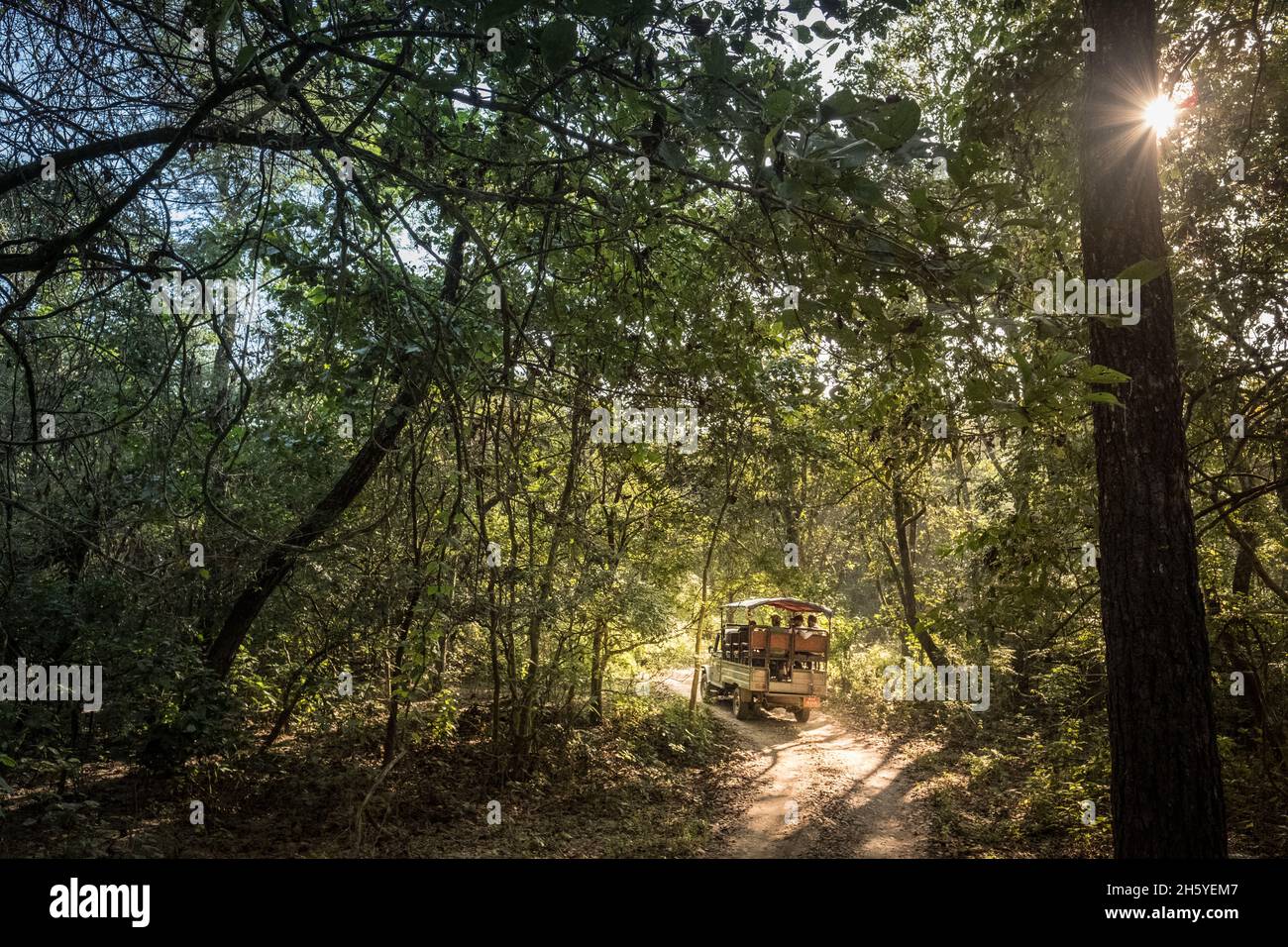 Noviembre 2017. Los safaris en jeep están reemplazando a los safaris en elefante en el Parque Nacional Chitwan y algunos de los bosques comunitarios, atendiendo a turistas más sensibles a los derechos de los animales o que simplemente están buscando una experiencia diferente. Bosque Comunitario de Kumarse, Kumarse, Nepal. Foto de stock