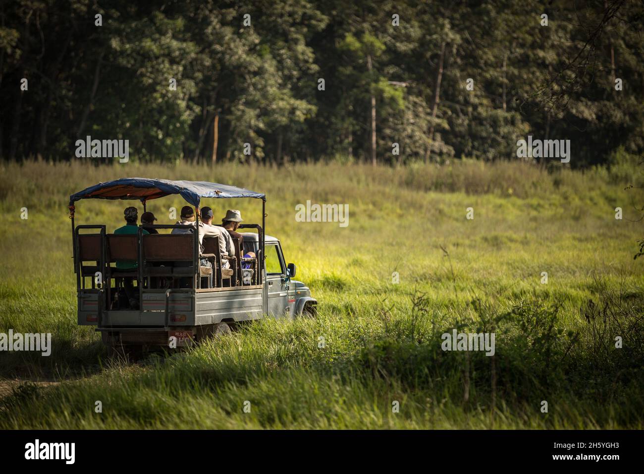 Noviembre 2017. Los safaris en jeep están reemplazando a los safaris en elefante en el Parque Nacional Chitwan y algunos de los bosques comunitarios, atendiendo a turistas más sensibles a los derechos de los animales o que simplemente están buscando una experiencia diferente. Bosque Comunitario de Kumarse, Kumarse, Nepal. Foto de stock