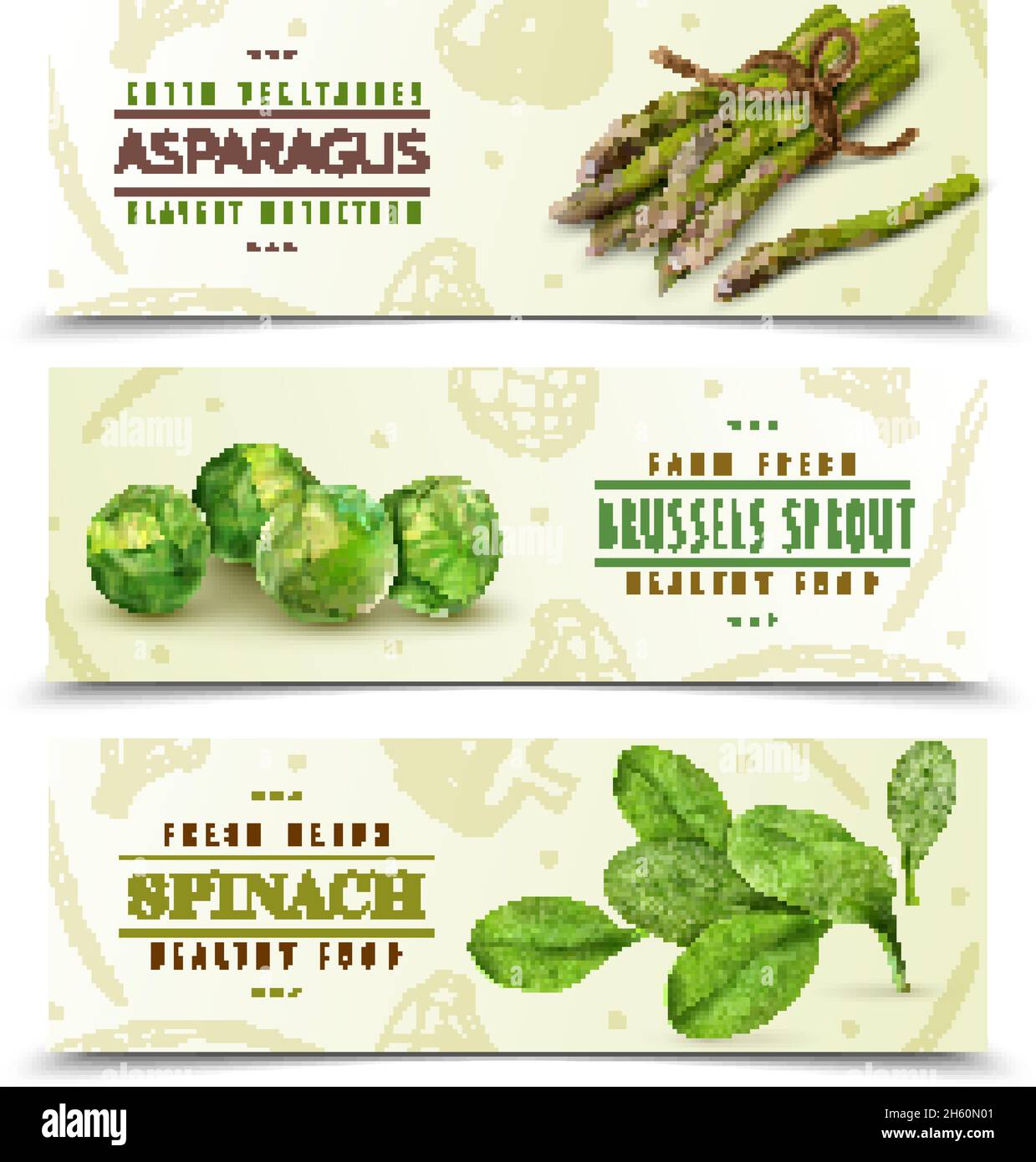 Granja verduras de hojas verdes frescas 3 banners horizontales realistas conjunto con espárragos de espinaca bruselas brotes vector ilustración Ilustración del Vector