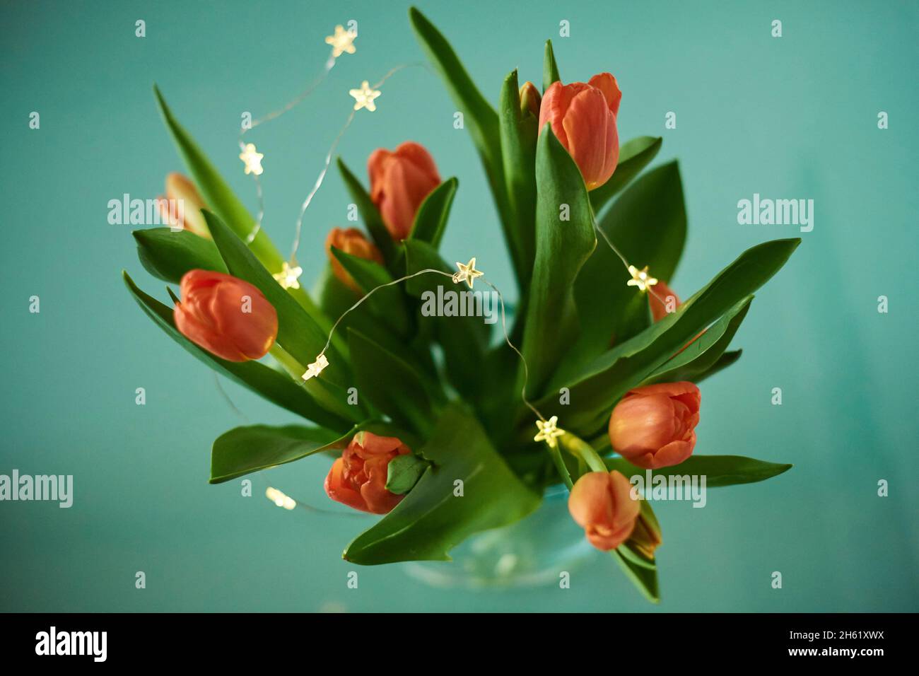 ramo de tulipanes, tulipanes de jardín, tulipa gesneriana, flores, ramo, jarrón, mesa, decoración Foto de stock