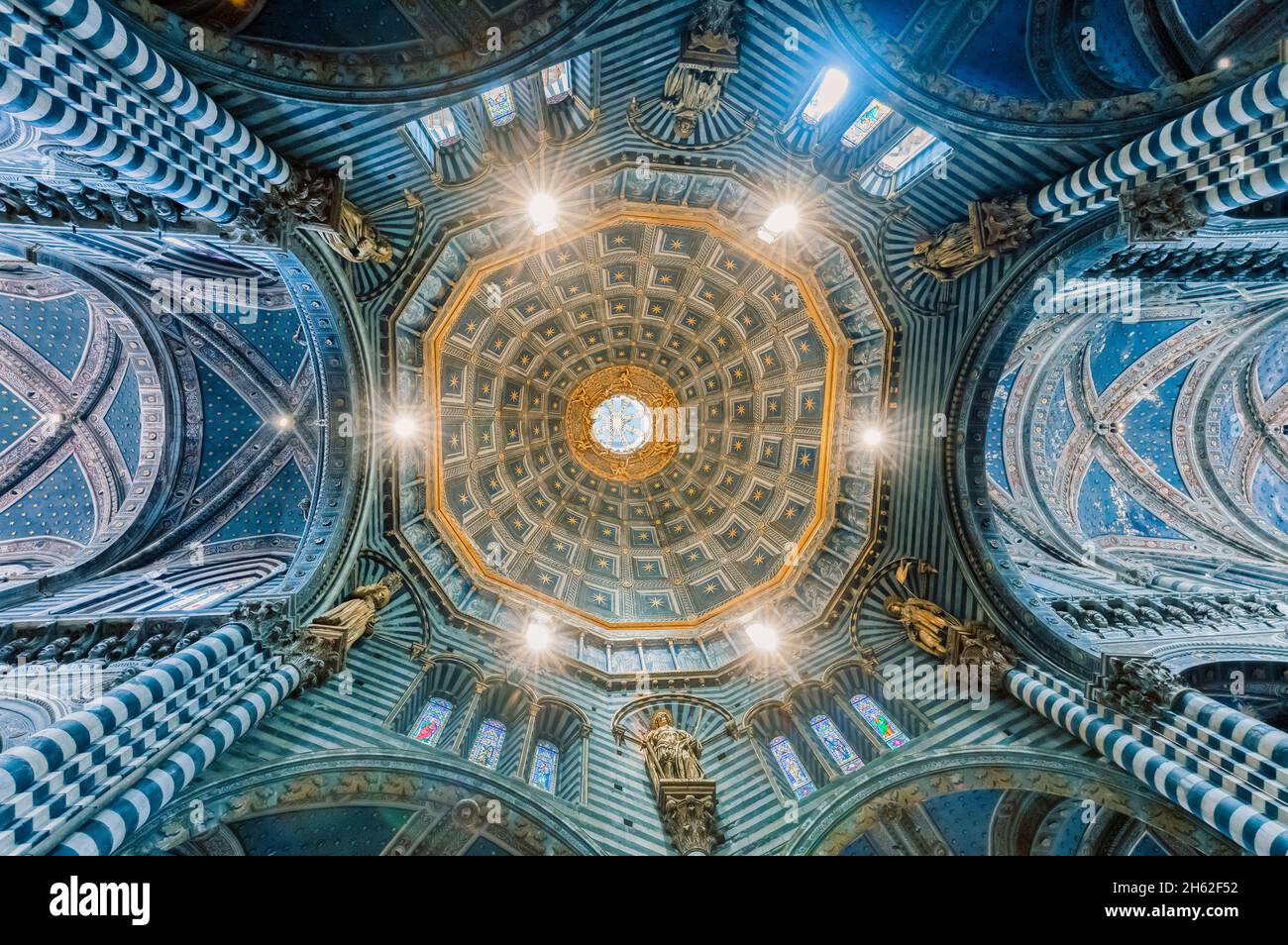 siena, la catedral de santa maria assunta, la bóveda de la cúpula vista interna desde abajo hacia arriba, toscana, italia Foto de stock