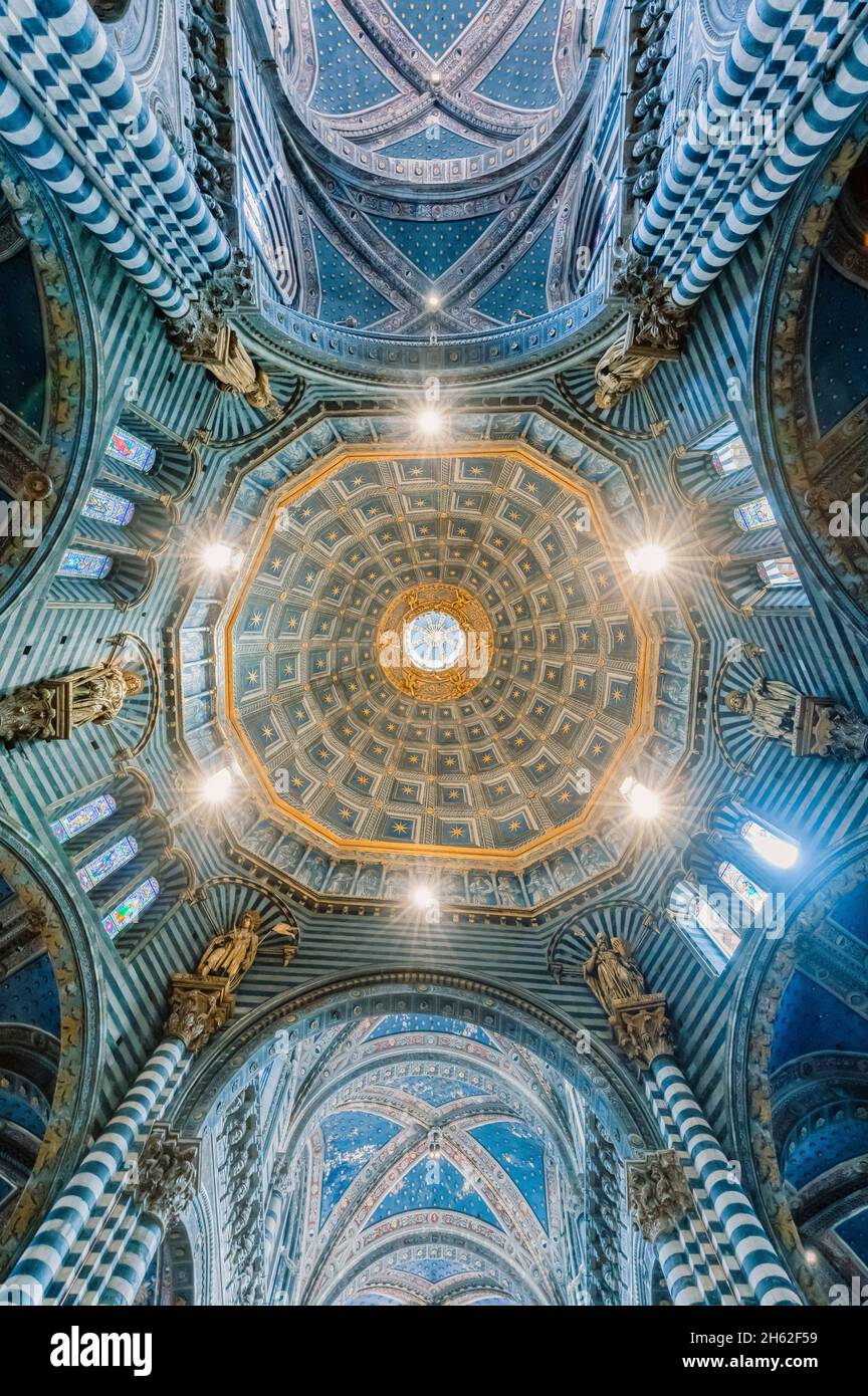 siena, la catedral de santa maria assunta, la bóveda de la cúpula vista interna desde abajo hacia arriba, toscana, italia Foto de stock
