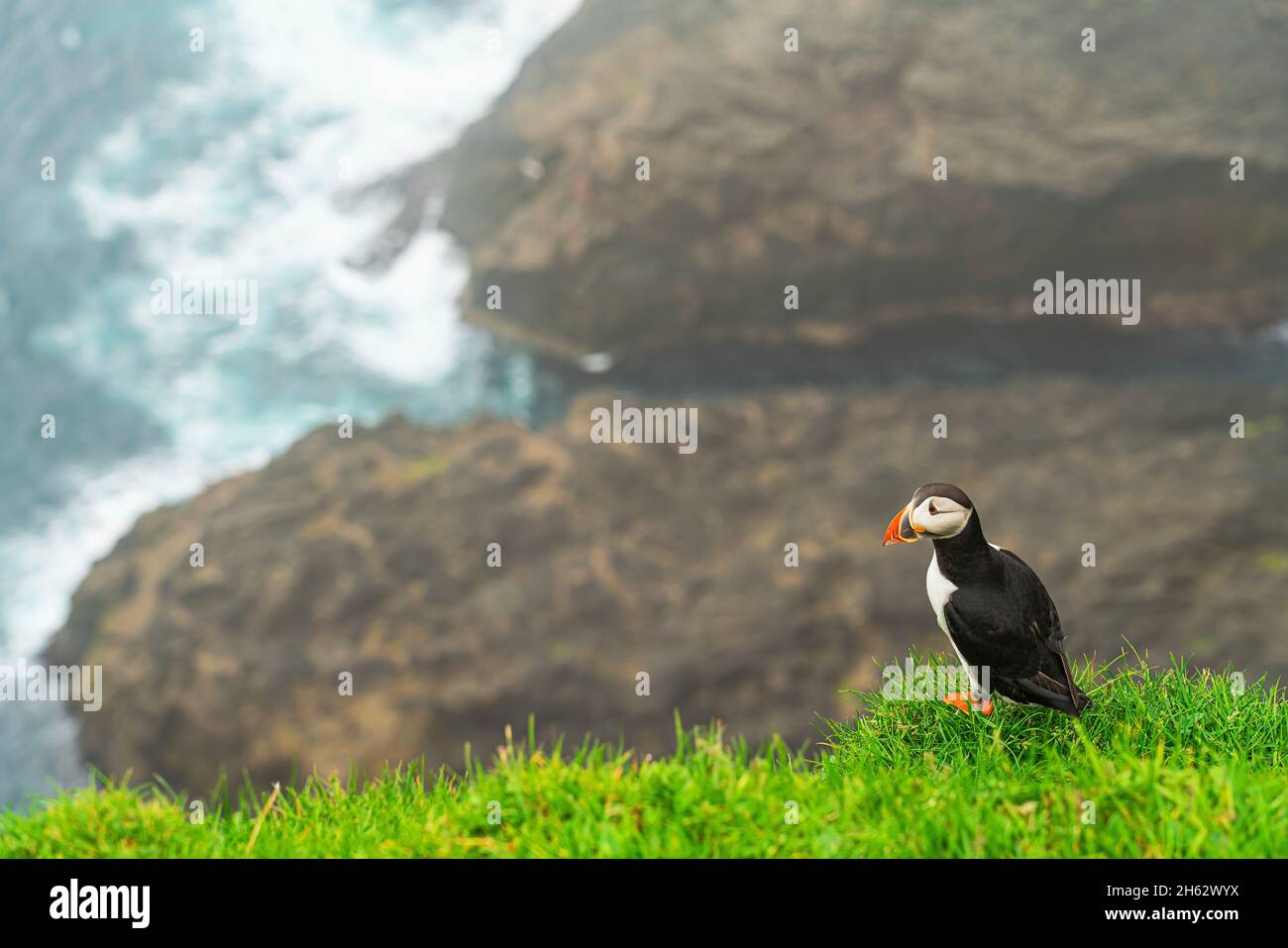 puffin, isla mykines, islas feroe Foto de stock